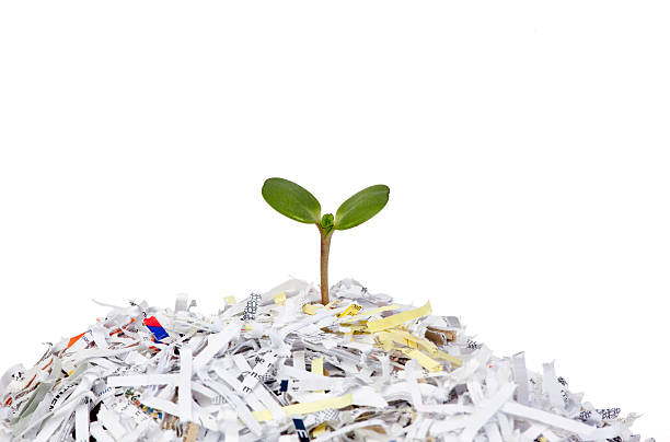 How to implement a workplace shredding system that works and is good for the environment