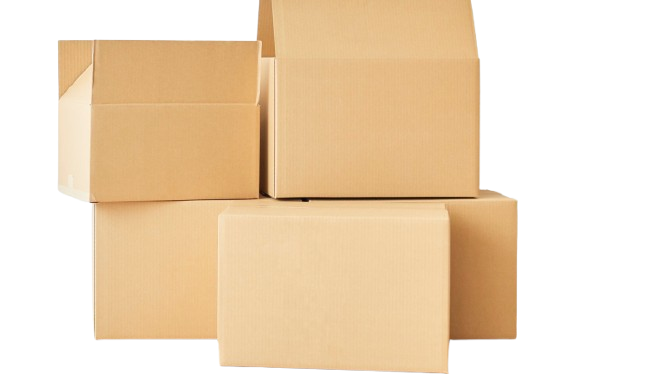 Archive Box Destruction